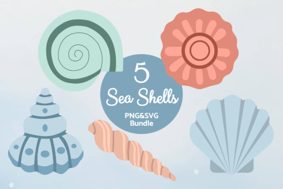 Coastal Shells Set: Graphics for Crafts & Small Business Branding